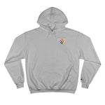 Vernon Fire HAZMAT Champion Hoodie